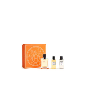 Hermès Terre D'hermes e T 50ml Spray Gel40 Ash40