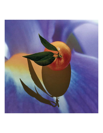 Loewe Solo Elixir 50ml Vap M