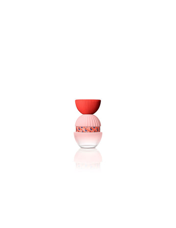 El Ganso Fun y Chic Edp 100ml Spray